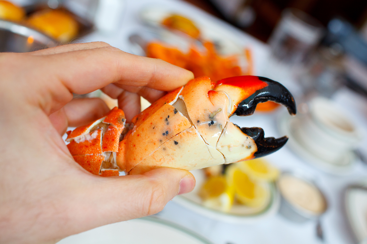 French Fried Stone Crab Claws