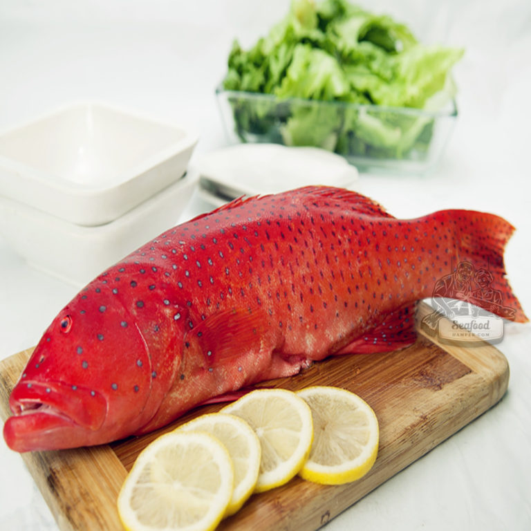 coral trout Seafood Hamper