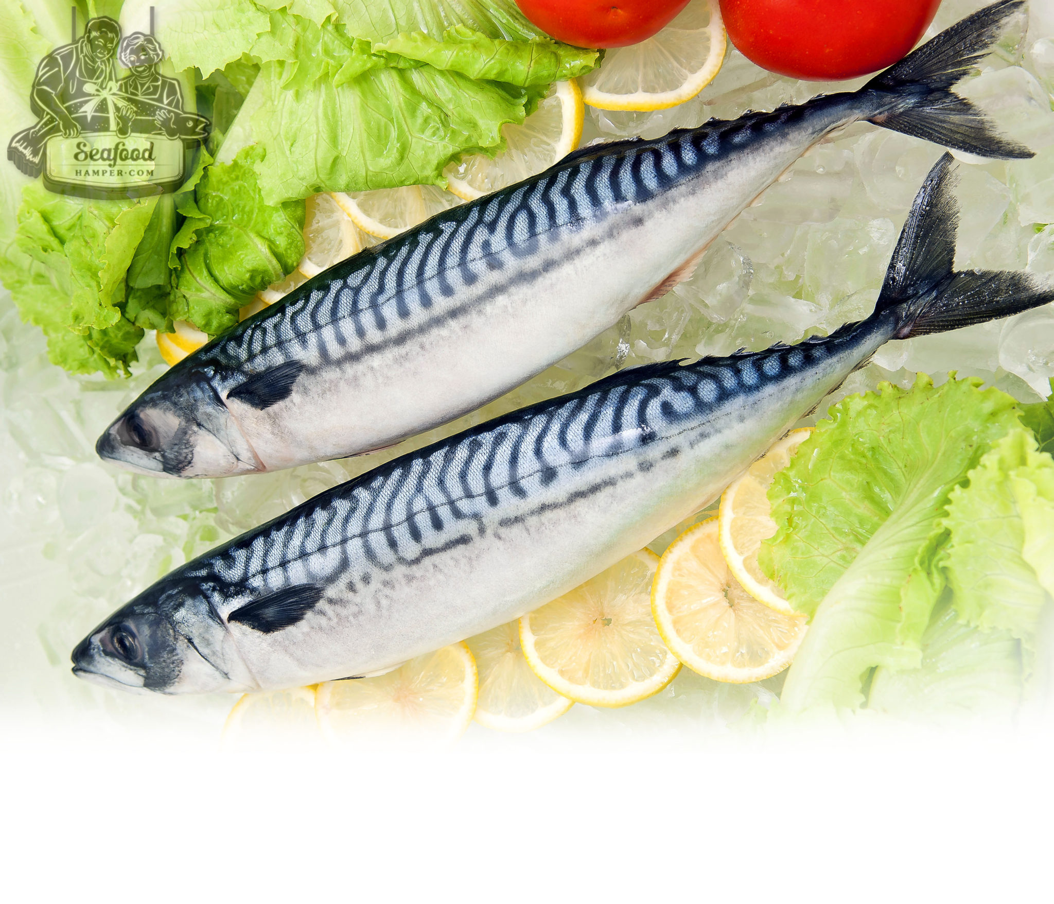 Frozen Norway Saba Mackerel鲭鱼 300+gm/pc Seafood Hamper