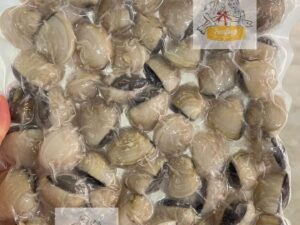 FZ WHITE CLAM -1kg+-